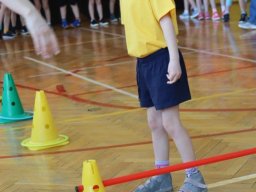 48667893811227961896483285387914782916230515n